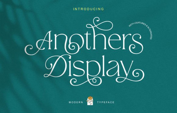 Anothers Display Font for Modern Web Design Projects