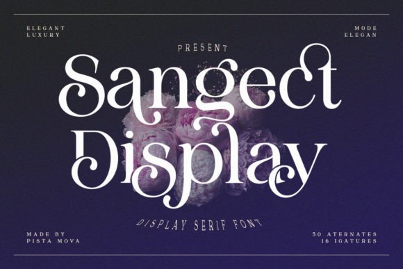 Sangect Display: A Bold Typeface for Memorable Marketing